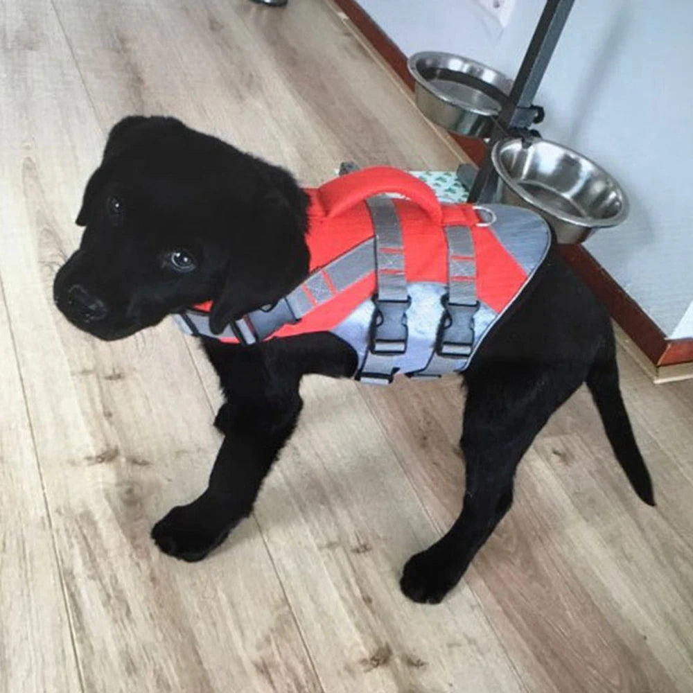 Summer Puppy Dog Life Jacket