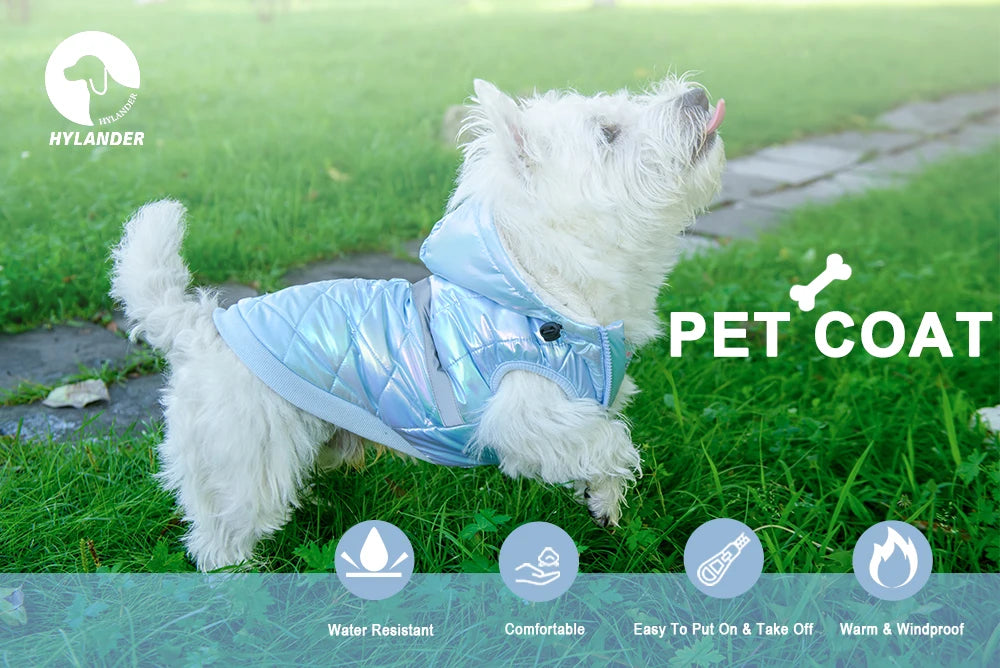 winter costume for dogs Puppy Autumn clothes with hoodie