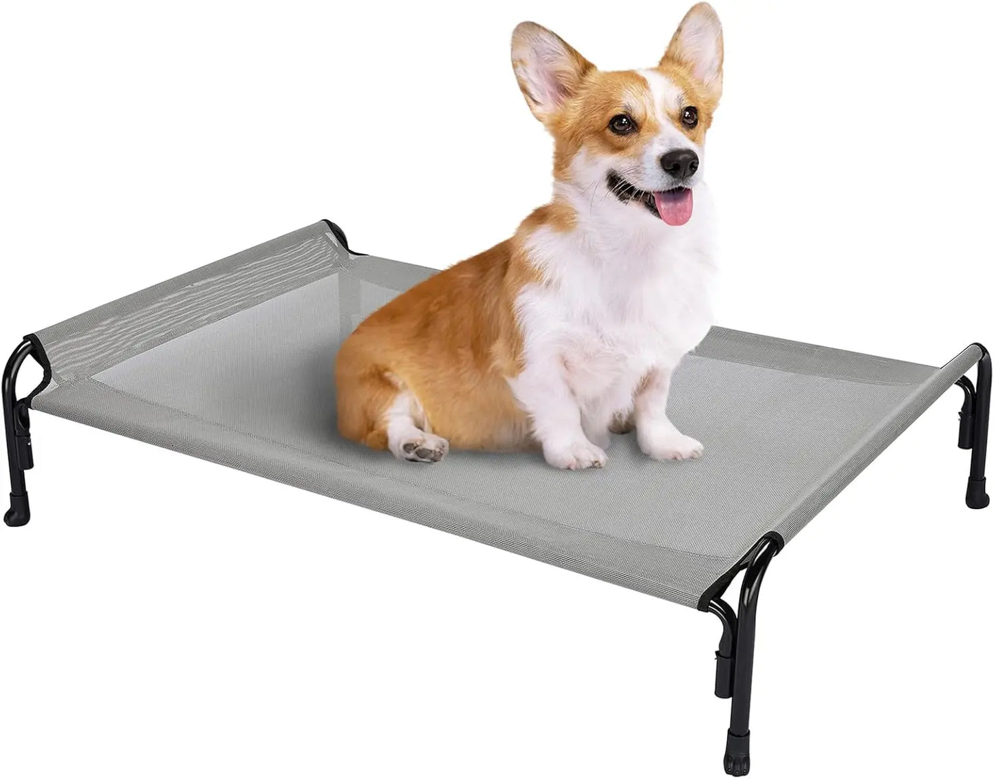 Elevated Dog Bed