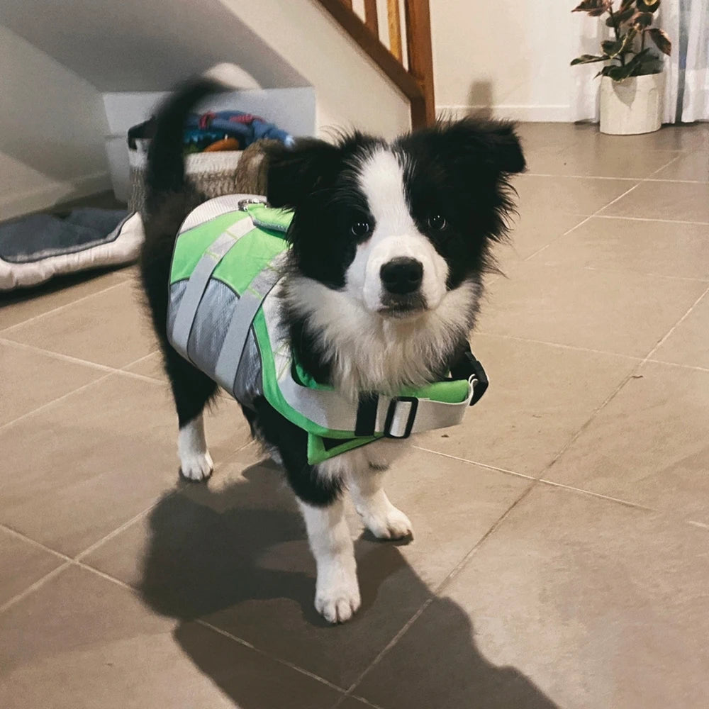 Summer Puppy Dog Life Jacket