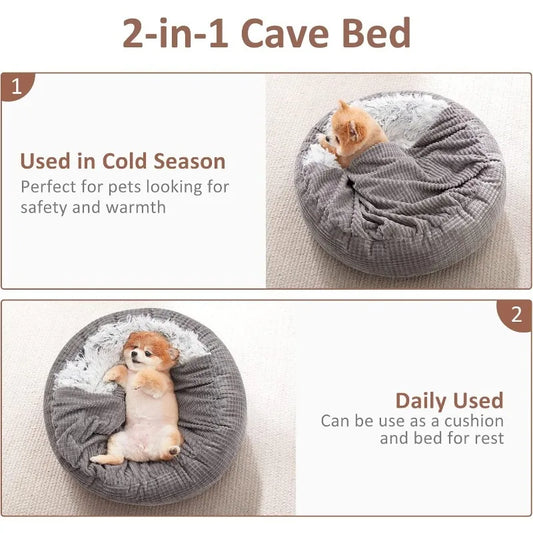 Small Dog Bed with Blanket Attached