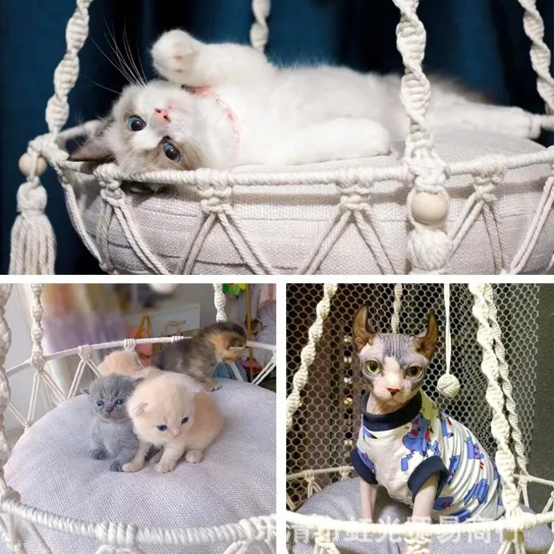 New Pet Hammock Cat Swing