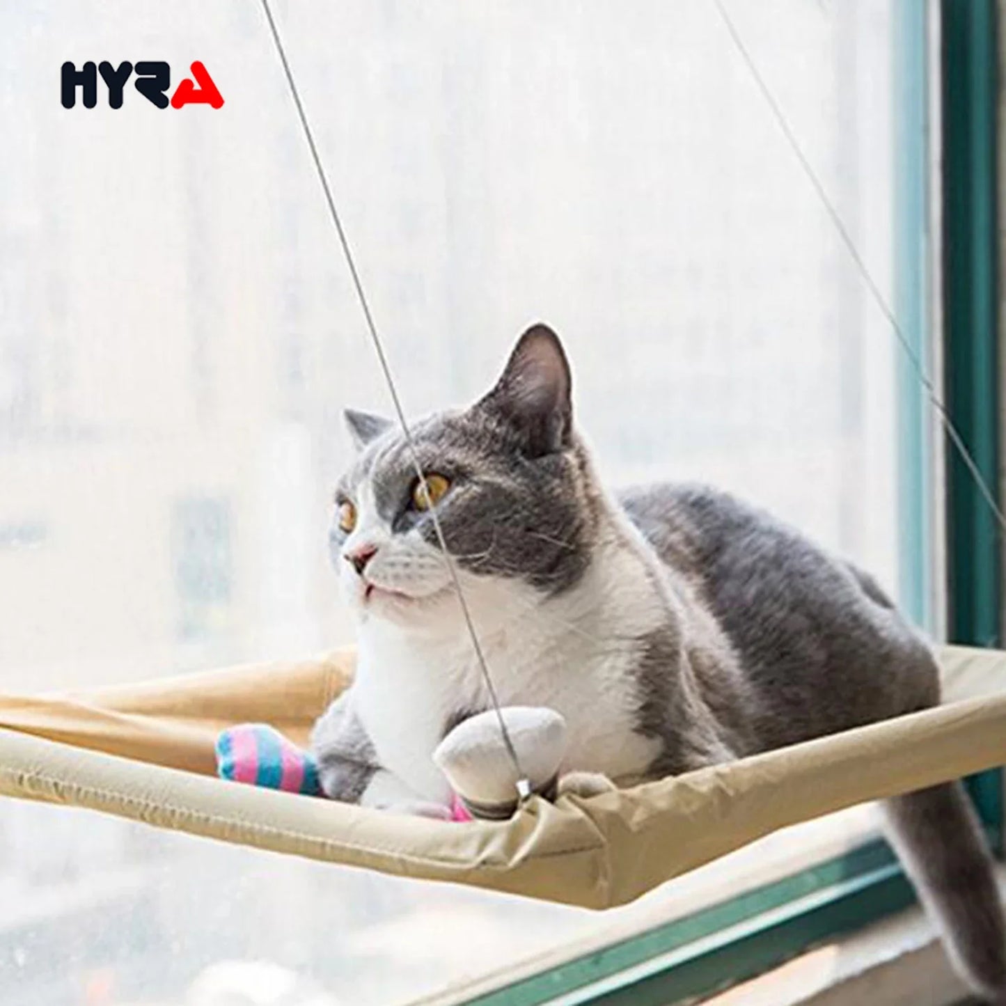 Hyra Cat Window Hammock for Indoor Cats