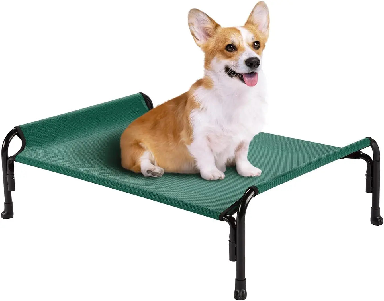 Elevated Dog Bed