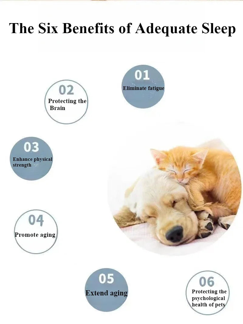 1PC Pet Camping Bed