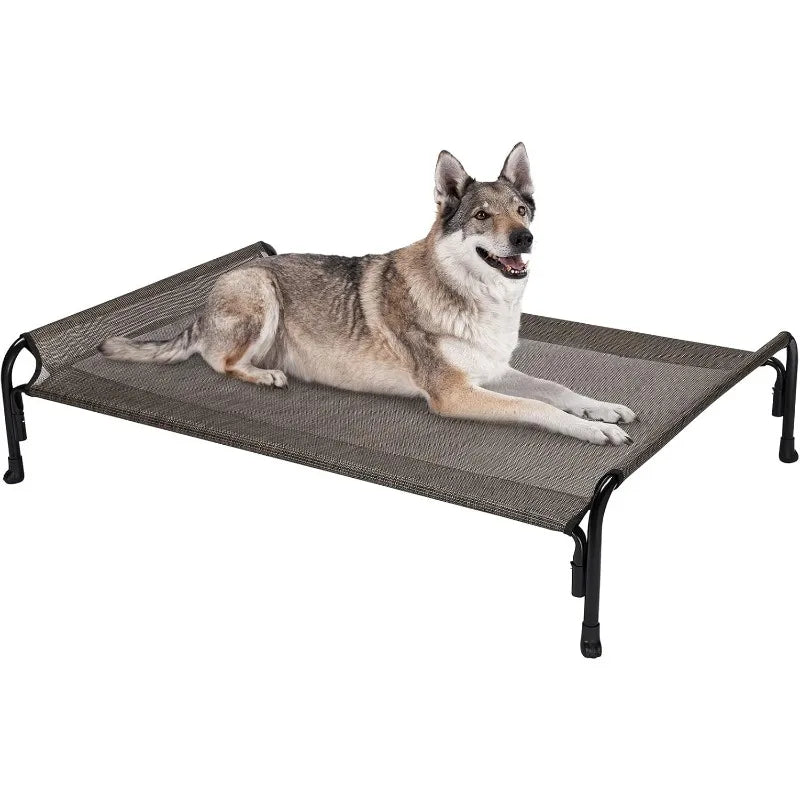 Elevated Dog Bed