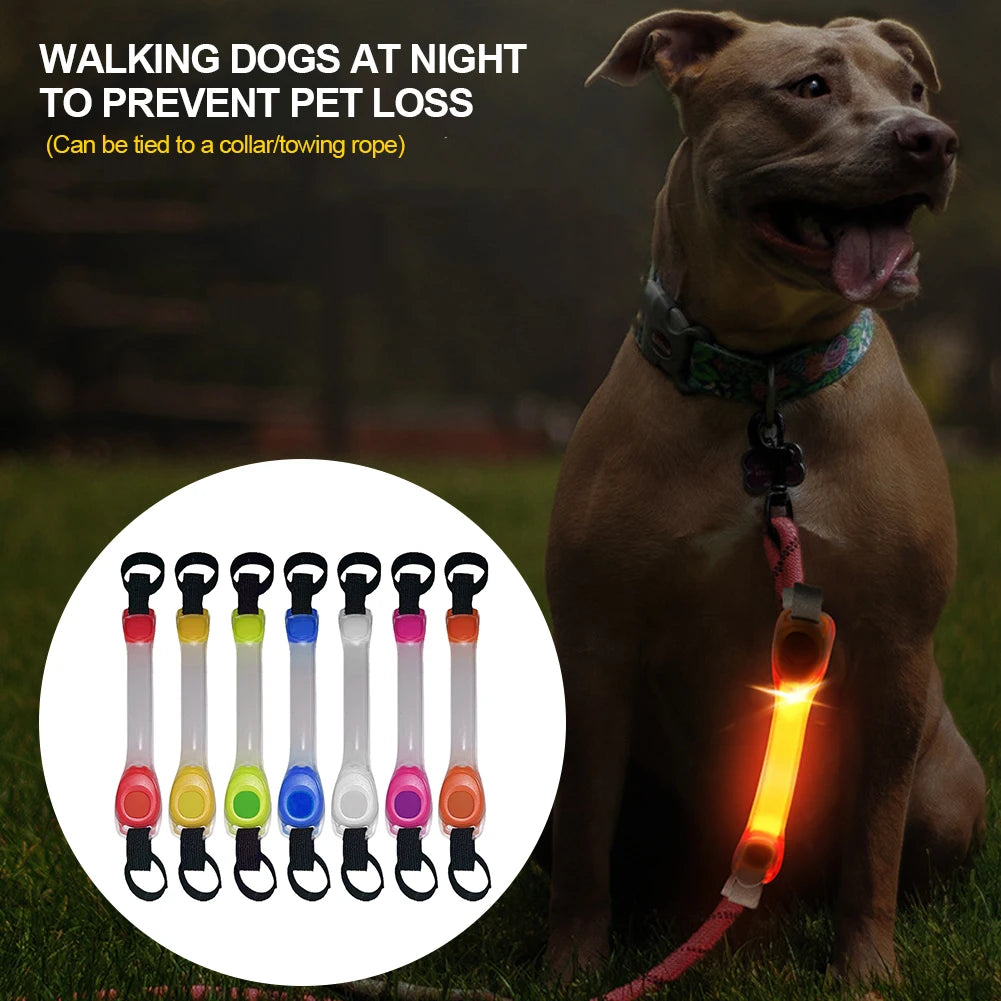 Dog Anti Lost Safety Glowing Collar Outdoor Waterproof Warning LED Flashing Light Strip