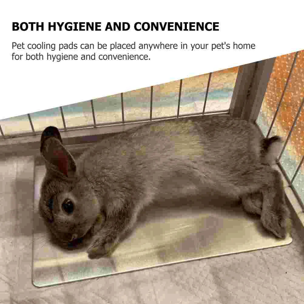Small Animal Cooling Mat Pet