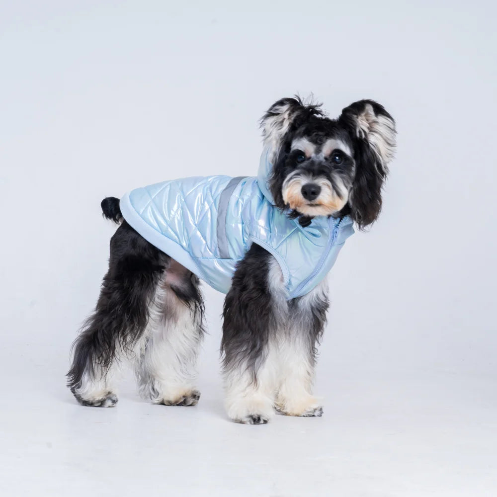 winter costume for dogs Puppy Autumn clothes with hoodie