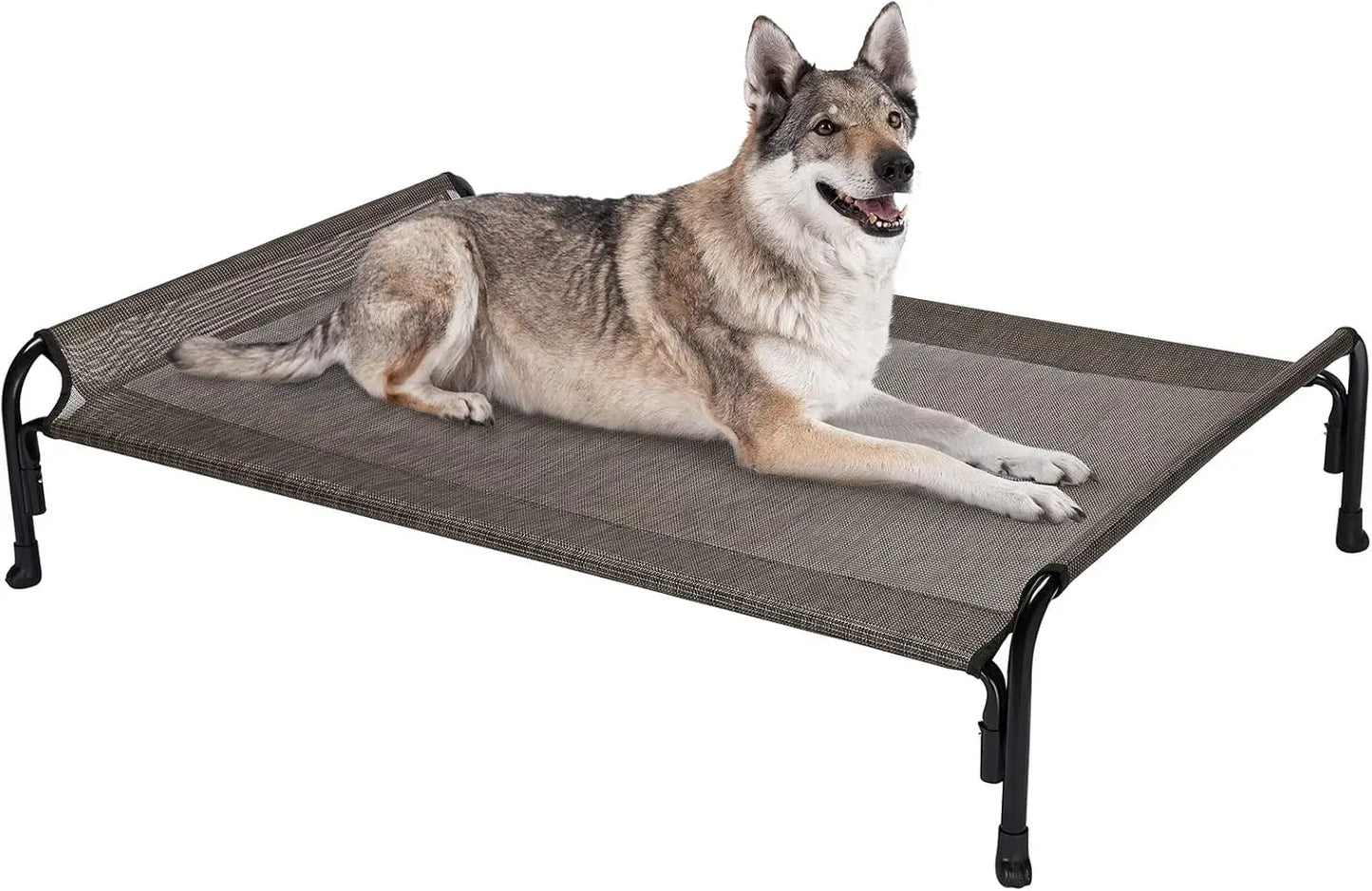 Elevated Dog Bed