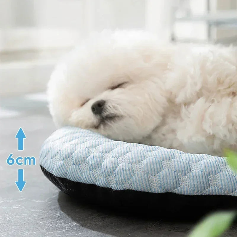 Cold Dog Bed