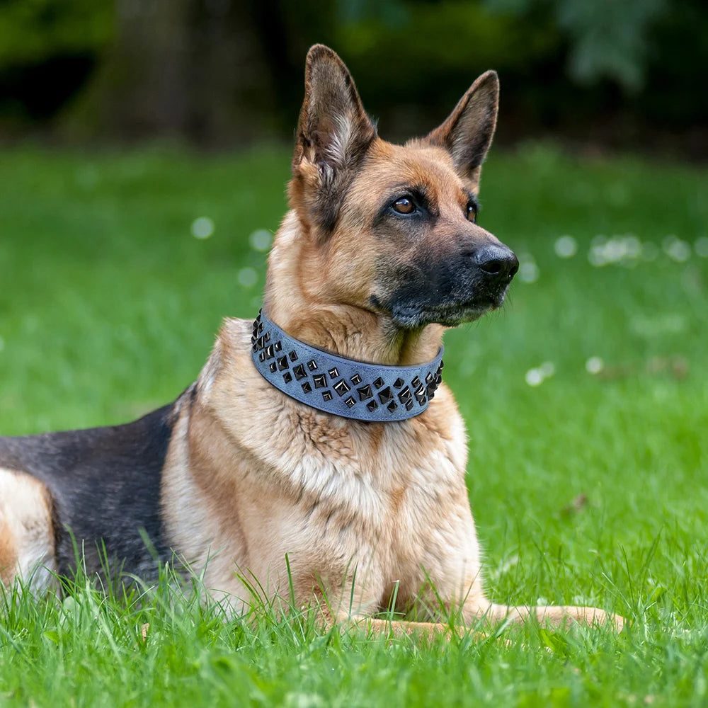 Cool Spiked Studded Dog Collar