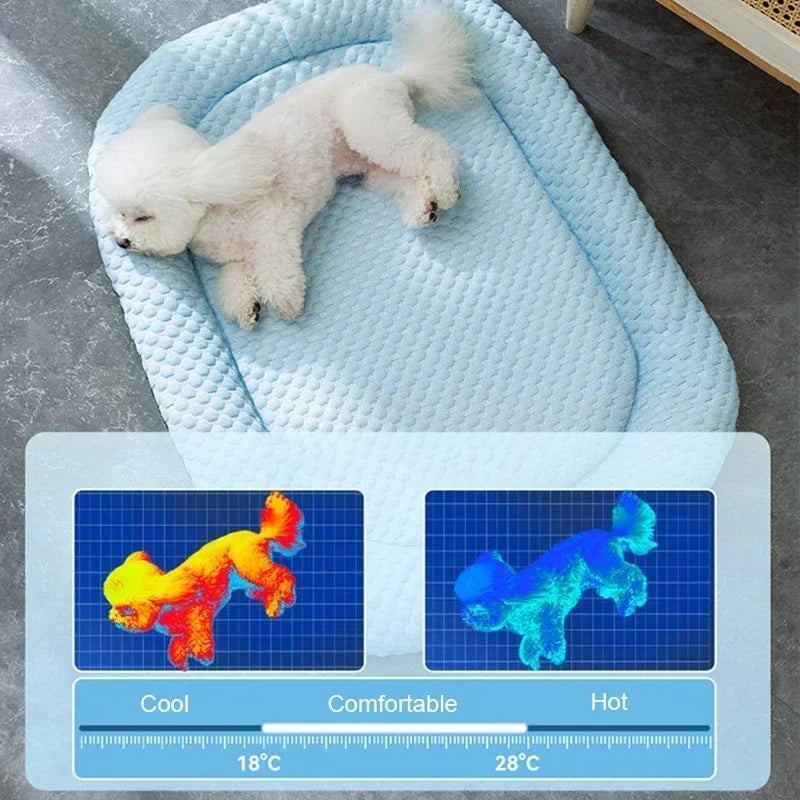 Cold Dog Bed