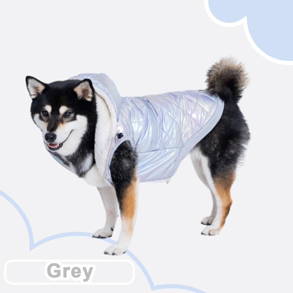 winter costume for dogs Puppy Autumn clothes with hoodie