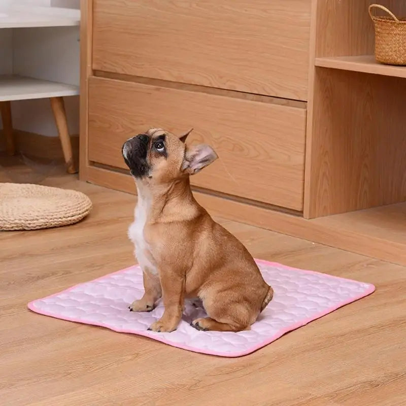 Dog Mat Cooling Summer Pad