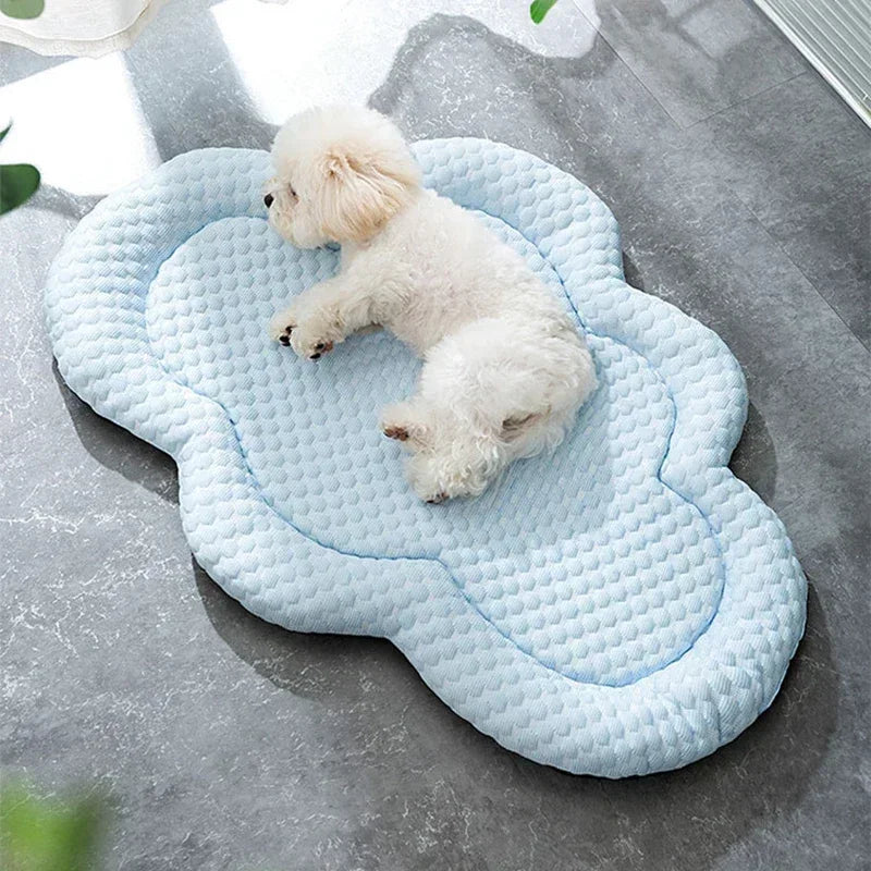 Cold Dog Bed
