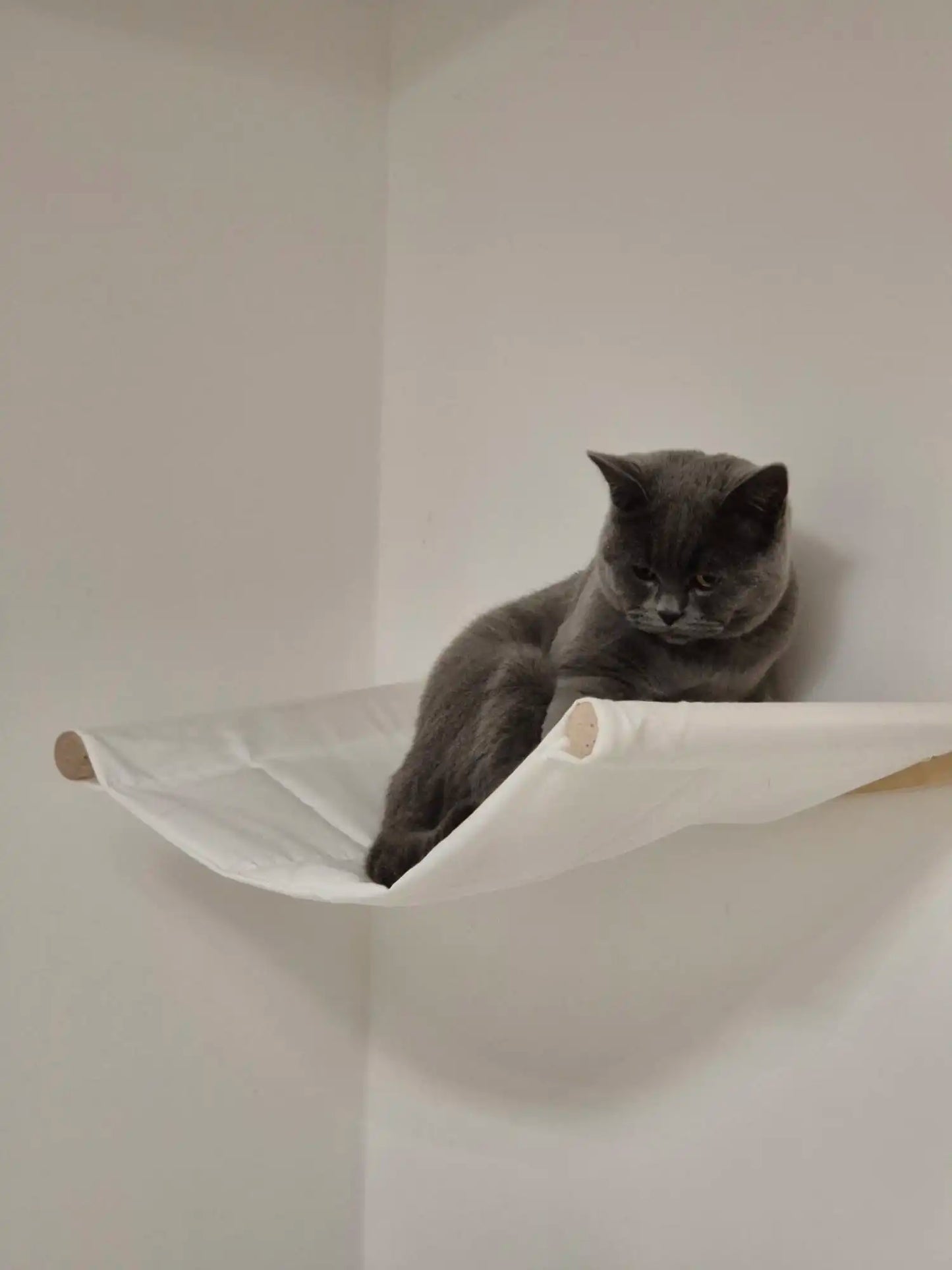 Cat Hammock Cat Tree Wall Mounted Wooden Furniture Scratcher