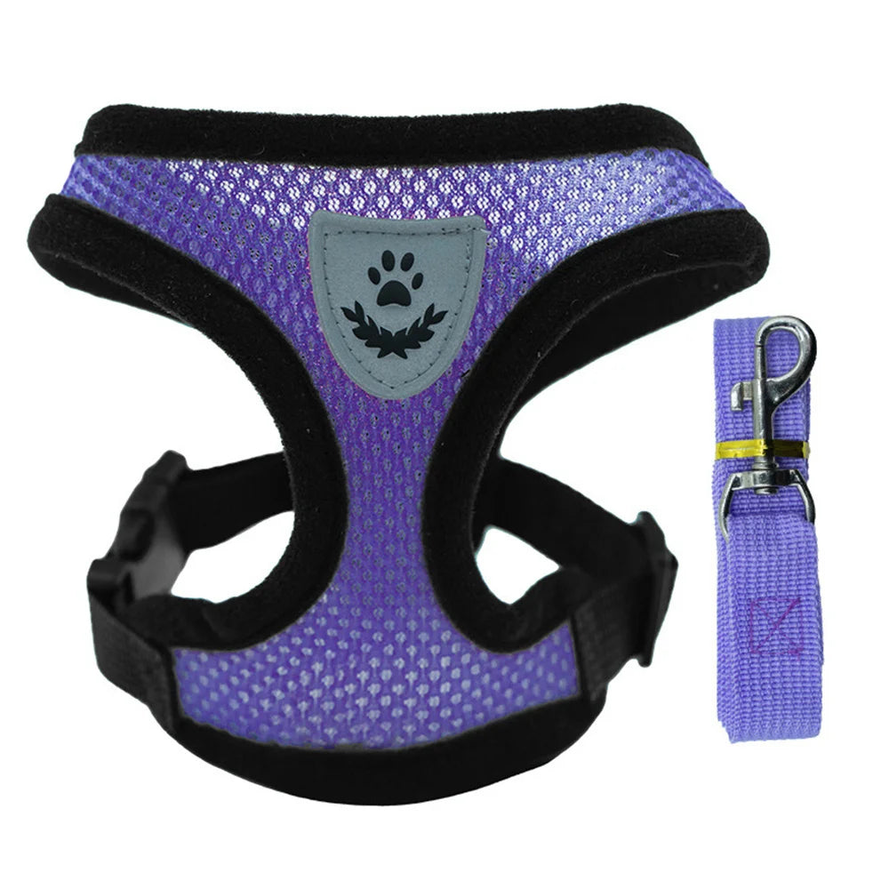 Cat Dog Harness With Lead Leash Kitten Puppy Outdoor Walking Collar