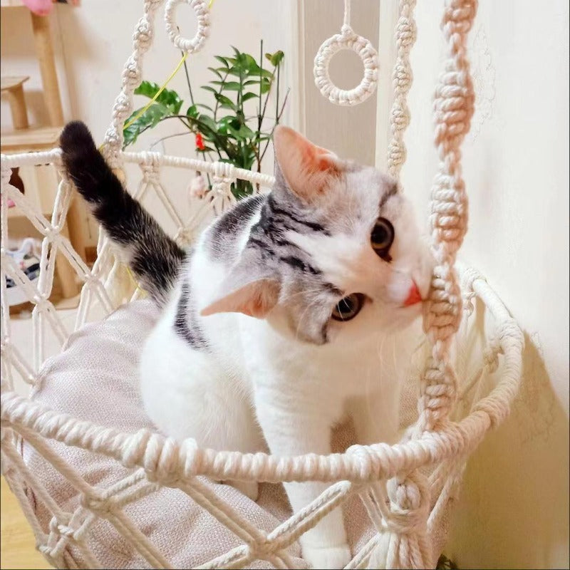 New Pet Hammock Cat Swing