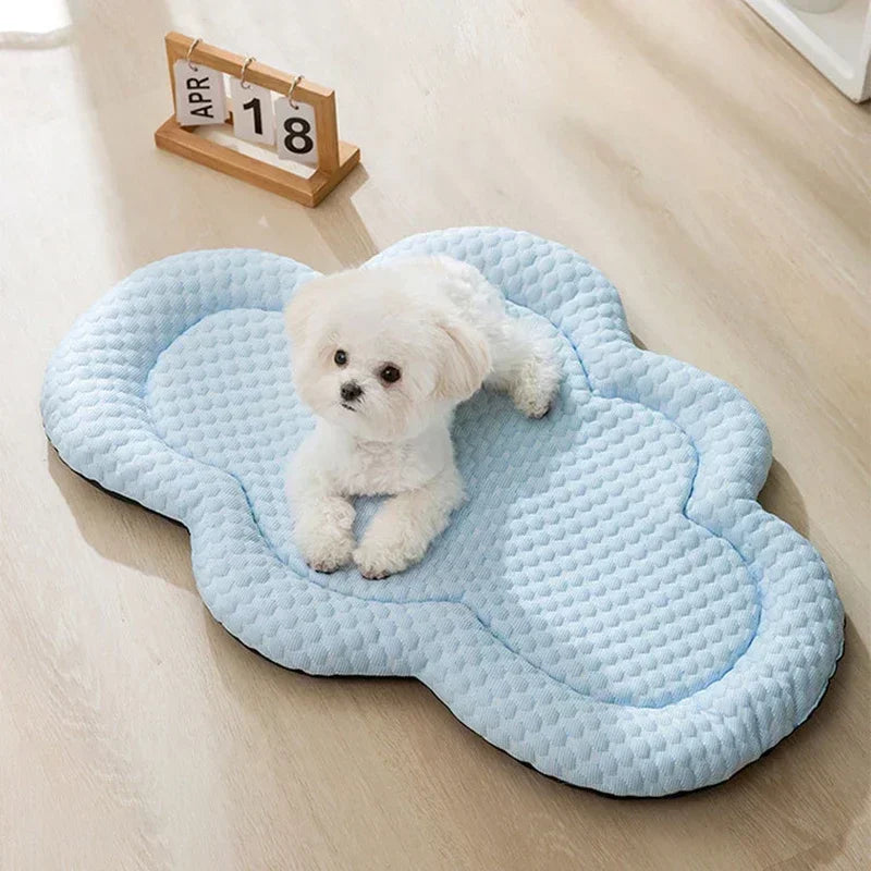 Cold Dog Bed