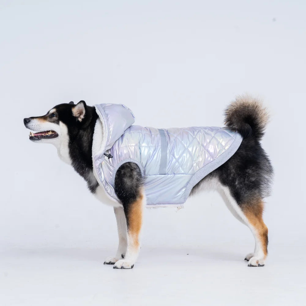 winter costume for dogs Puppy Autumn clothes with hoodie