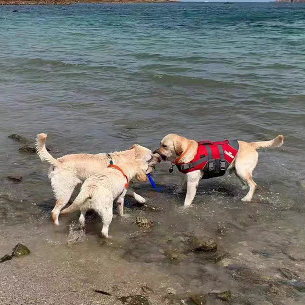 Summer Puppy Dog Life Jacket