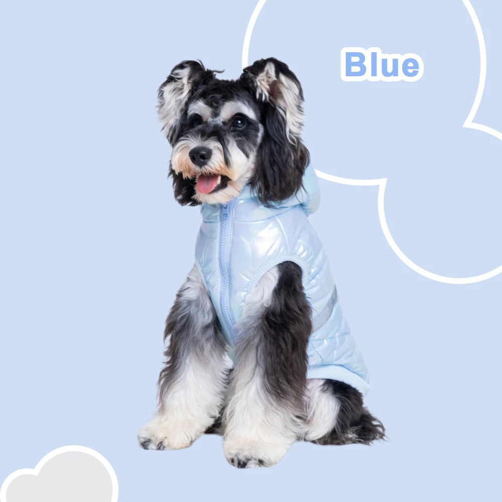 winter costume for dogs Puppy Autumn clothes with hoodie