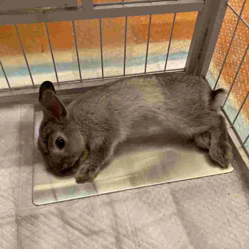 Small Animal Cooling Mat Pet