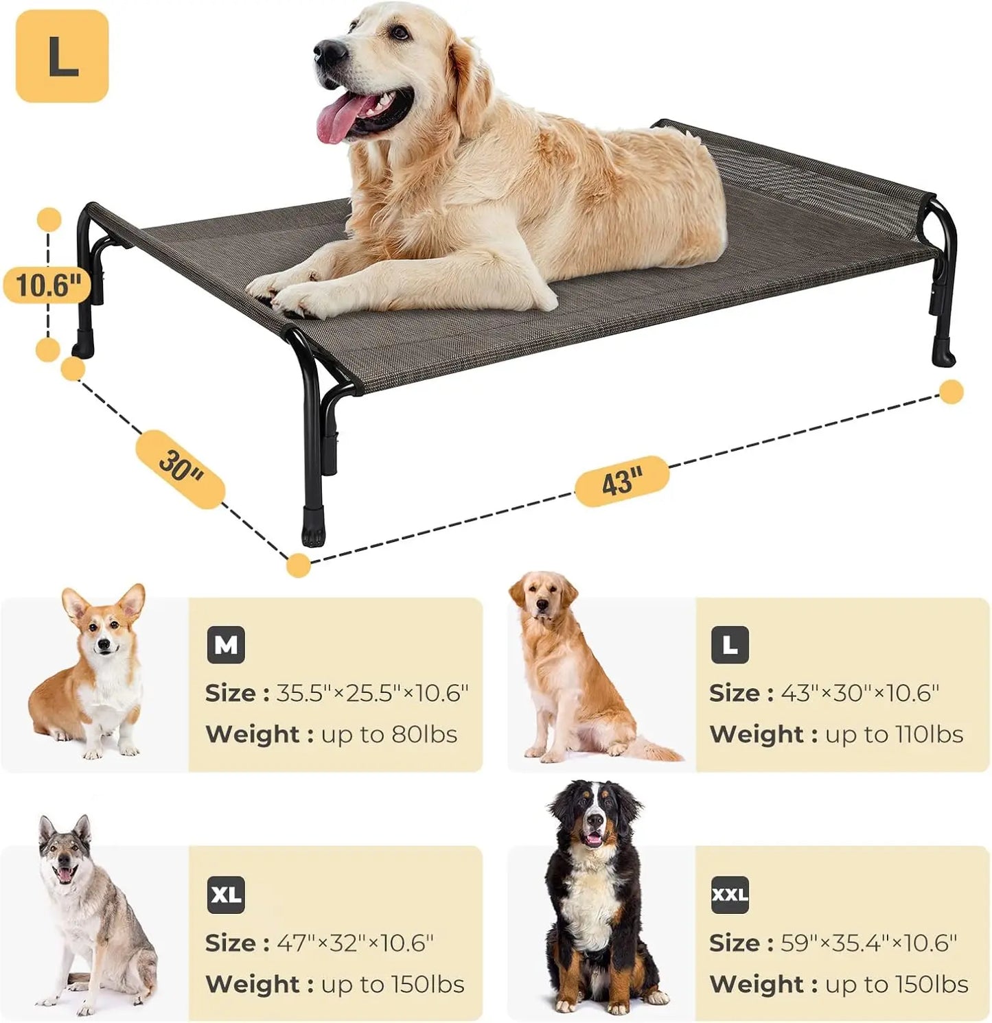 Elevated Dog Bed