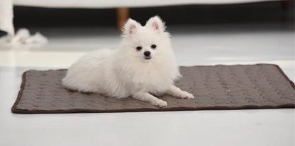 Summer Pet Cooling Mat