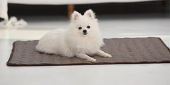 Summer Pet Cooling Mat Pad for Medium Large Dogs Washable French Bulldog Big Dog Ice Gel Bed Shiba Inu Mattress mascotas Blanket