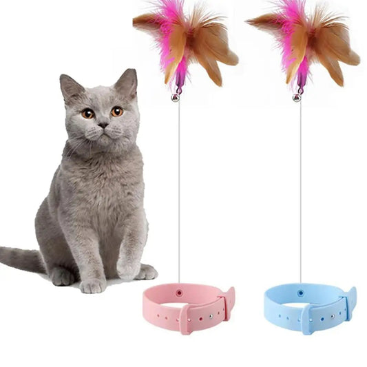 Cat Collars with Bells