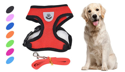 Cat Dog Harness With Lead Leash Kitten Puppy Outdoor Walking Collar