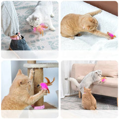 Cat Toys Feather Collar