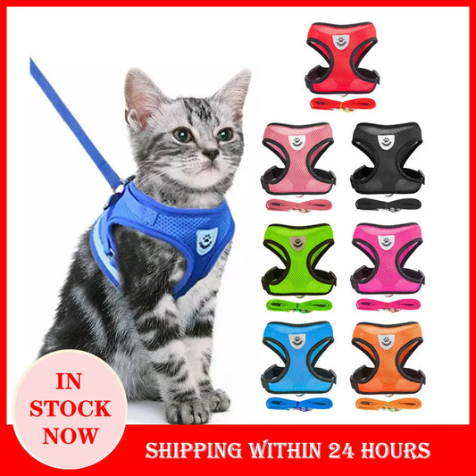 Pet Walk & Lead Set: Adjustable Cat Harness & Traction Rope