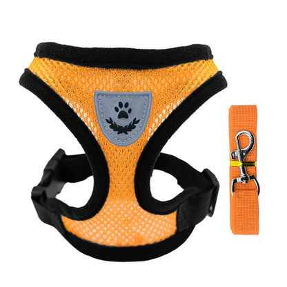 Cat Dog Harness With Lead Leash Kitten Puppy Outdoor Walking Collar