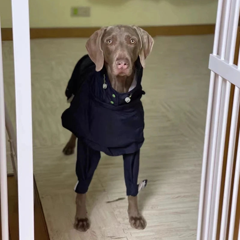 Waterproof Dog Raincoat Jumpsuit