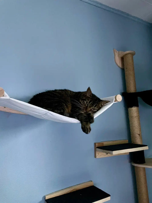 Cat Hammock Cat Tree Wall Mounted Wooden Furniture Scratcher