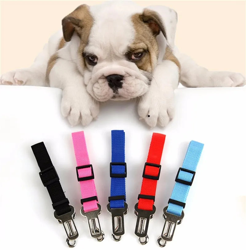 Cat Car Seat Belt