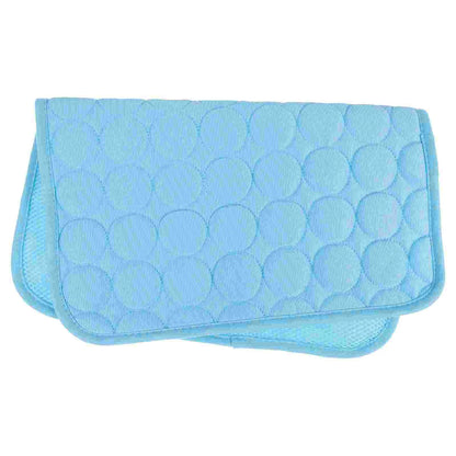 Convenient Pet Cooling Mat