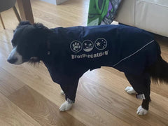 Waterproof Dog Raincoat Jumpsuit For Medium Large Dogs Rain Coat Outdoor Pet Clothes Puppy Doberman Labrador Husky Jacket