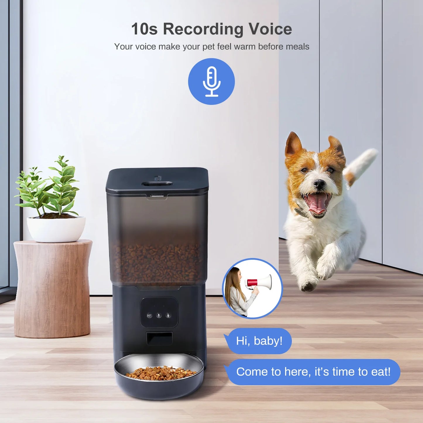 6L Dog Automatic Feeder