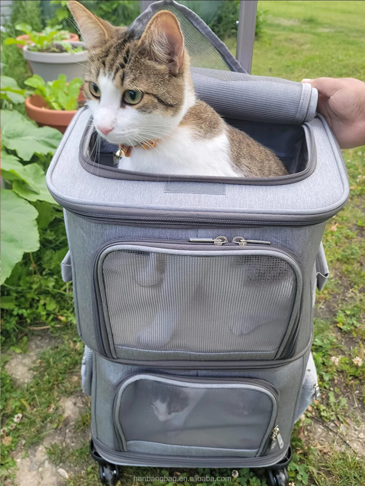 Travel wheels stroller rolling trolley pet carrier with wheels for 2 cats