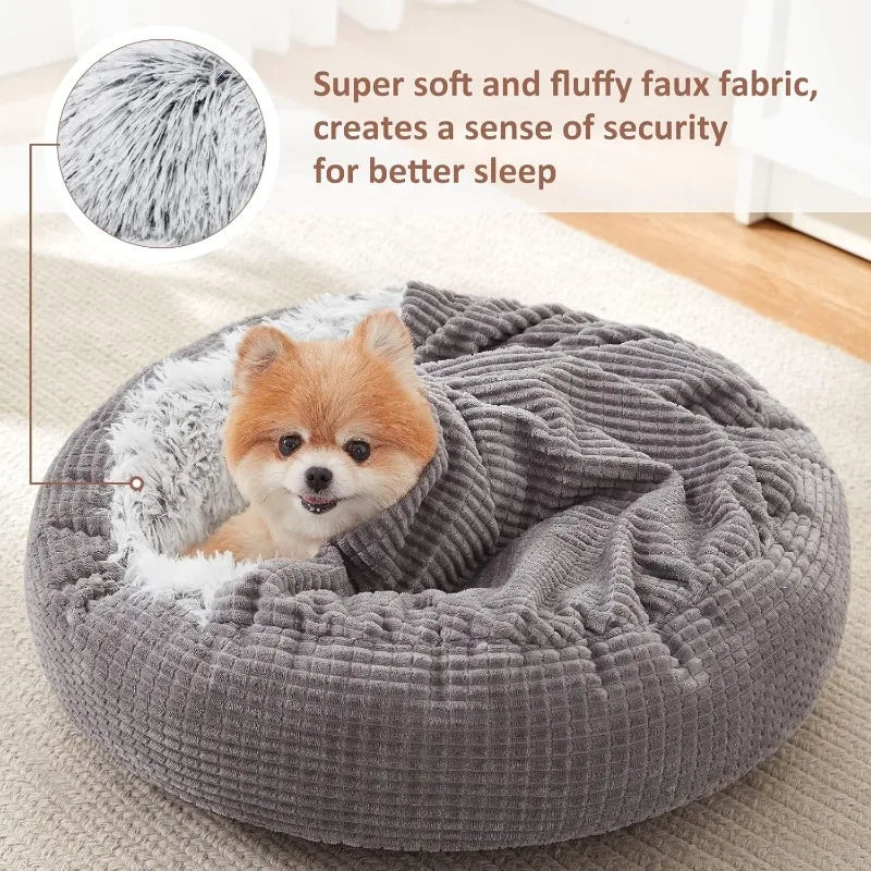 Small Dog Bed with Blanket Attached