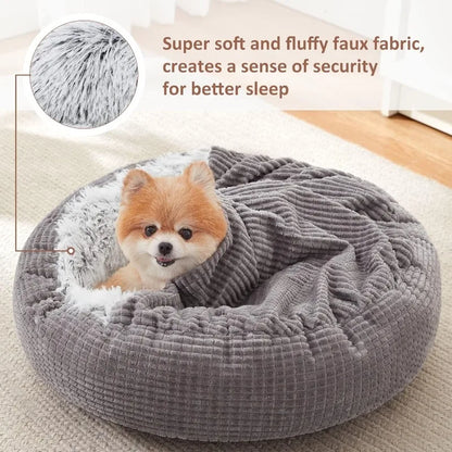 Small Dog Bed with Blanket Attached