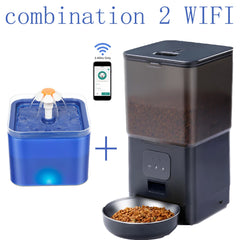 6L Dog Automatic Feeder Transparent Pet Smart Feeder 2L Cats Dispenser Feeding Bowl Remote Tuya WIFI Control Dry Food Pet Feeder