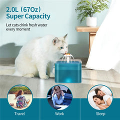 6L Dog Automatic Feeder Transparent Pet Smart Feeder 2L Cats Dispenser Feeding Bowl Remote Tuya WIFI Control Dry Food Pet Feeder