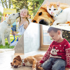2G Mini Pet GPS Tracker TK909 Waterproof IP65 Geofence Track GPS For Cat Collar Voice Monitor GPS Locator For Dog FREE APP