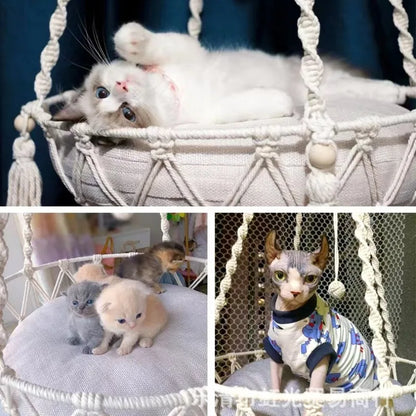 New Pet Hammock Cat Swing