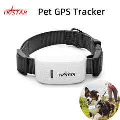 2G Mini Pet GPS Tracker TK909 Waterproof IP65 Geofence Track GPS For Cat Collar Voice Monitor GPS Locator For Dog FREE APP